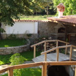Krasimir 21