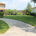 Krasimir 22